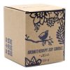 Aromaterápiás Szójagyertya Fa Kanóccal - Borsmenta/210g