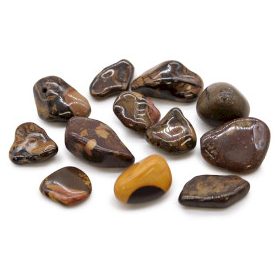 Közepes Afrikai Marokkövek - Nguni Képkő