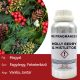 Fagyöngy Illatolaj- 500ml