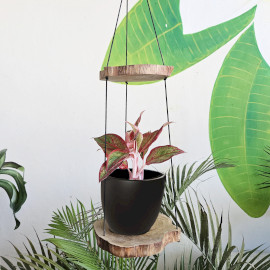 Akasztós Gamal Fa Polc - Kettes