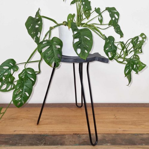 Sámánfa Halacska Virágállvány - Szürke Súrolt