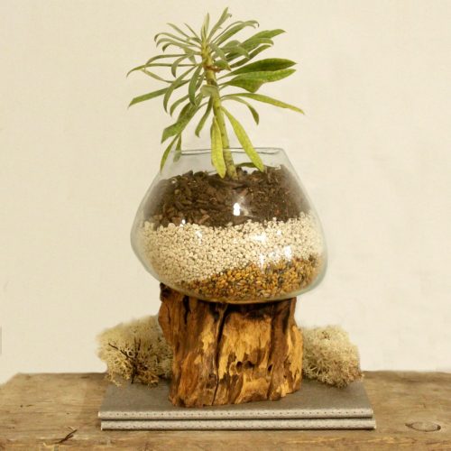 Olvasztott Üveg Fa Alátéten - Nagy Tál