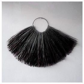 Nagy Tengerifű Falidísz - Fekete