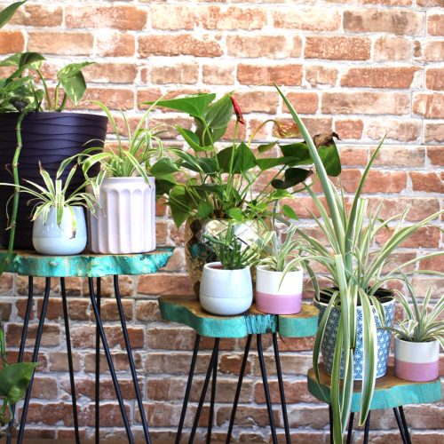 Fa Virágállványok-Zöld Súrolt