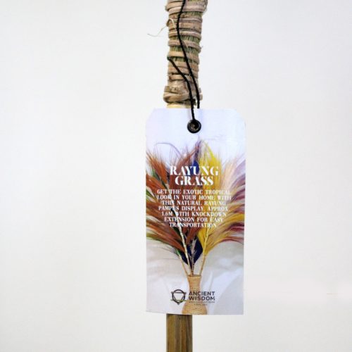 Tengerifű Rózsaszín- 1.6m