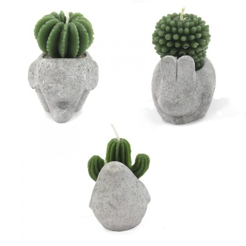 Kaktusz Gyertyák - Állatkák