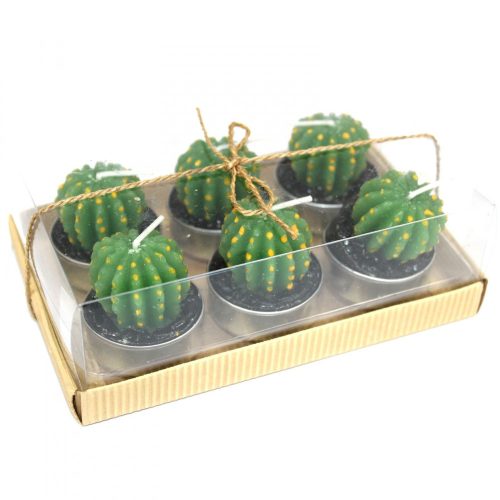 6 darab Kaktusz Teamécses Ajándékdobozban - Hordó 