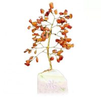 Ásvány Szerencsefák