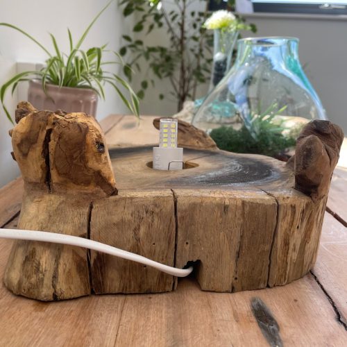 Alávilágított Akvárium Fa Alátéten