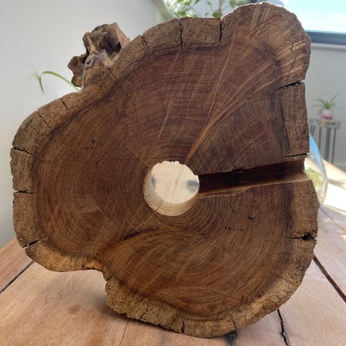 Alávilágított Akvárium Fa Alátéten