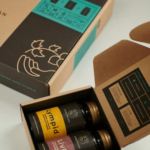 Myrobalan FULL BODY DETOX- belső nagytakarítás kúra